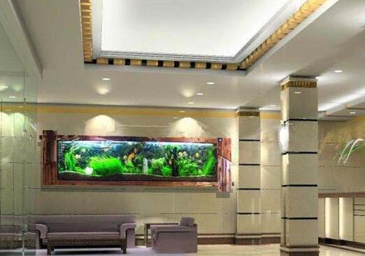 順酐對環(huán)境有哪些影響您知道嗎？